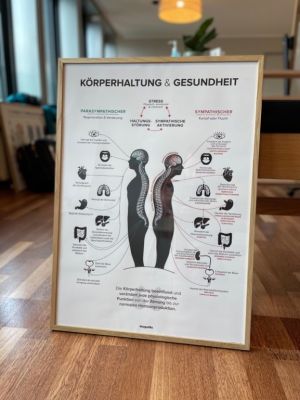 Kiwi Chiropractic - Ihre Chiropraktiker in Düsseldorf 8